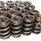 Race Extreme Tripple Valve Springs (1.683" O.D w/ 382 lbs @ 2.100" Seat Pressure) (CO26082-16)