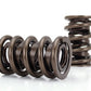 Race Extreme Dual Valve Springs (1.640" O.D w/ 250 lbs @ 2.500" Seat Pressure) (CO26099-16)