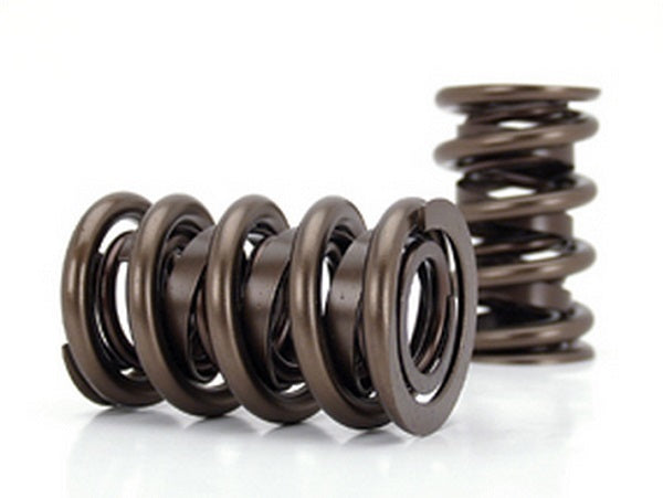 Race Extreme Dual Valve Springs (1.640" O.D w/ 250 lbs @ 2.500" Seat Pressure) (CO26099-16)