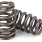 Race/Street Beehive Valve Springs (1.059"/1.444 O.D w/ 155 lbs @ 1.880" Seat Pressure) (CO26120-16)
