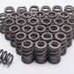 COMP CAMS BEEHIVE STREET VALVE SPRINGS 1.105" OD CO26123-32 Ford 4.6L 4V ENGINE