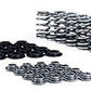 COMP CAMS SINGLE BEEHIVE VALVE SPRING KIT CO26915CS-KIT HOLDEN/CHEV LS1 LS2 LS6