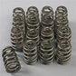 Comp Cams CO26918-16 Chev LS1 LS2 Beehive Street Strip Valve Springs 1.310" OD