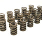 COMP Cams CO26921-16 DUAL VALVE SPRINGS, 1.300" O.D x.655" ID, 408 lbs/in RATE