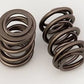 Race Street Dual Valve Springs (1.320 O.D w/ 141 lbs @ 1.810" Seat Pressure) (CO26925-16)