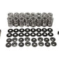 LS DUAL VALVE SPRING KIT, MOLY