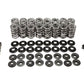 LS DUAL VALVE SPRING KIT, MOLY