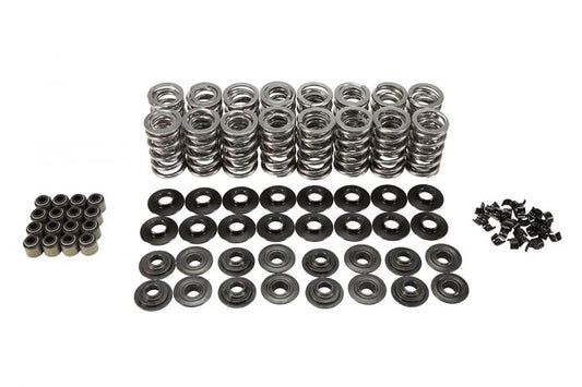 LS DUAL VALVE SPRING KIT, MOLY