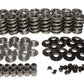 GM LS Dual Valve Spring Kit (1.320 O.D w/ 141 lbs @ 1.810" Seat Pressure) (CO26925TS-KIT)
