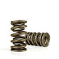 Race Street Dual Valve Springs (1.320 O.D w/ 129 lbs @ 1.835" Seat Pressure) (CO26926-16)
