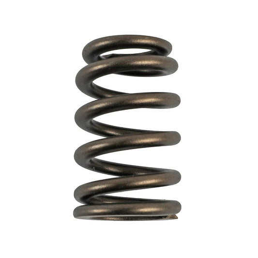 Comp Cams CC26123-16 Comp Valve Springs Ford 46L 4