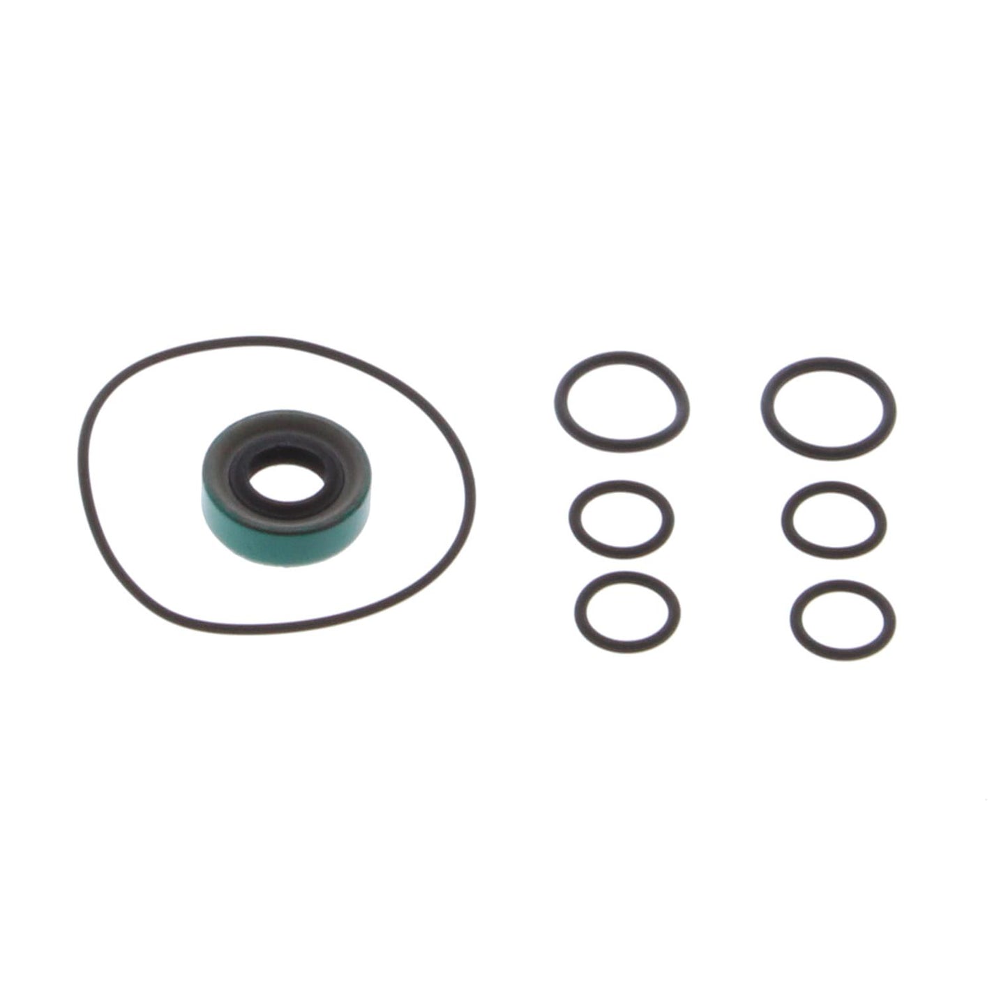 Waterman W29110 Sprint Pump Seal Kit