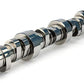 LS1 HYD ROLLER CAM (CO54-278-11)