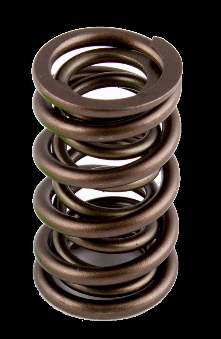 Air Flow Research AFR8017-16 Pac Dual Valve Springs 1.290"