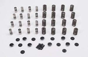 Lunati LT65002LUN Valve Train Kit SB Chev Lifters V/Springs Rtners Loks