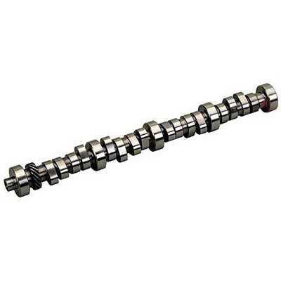 Lunati LT51028 Lunati Camshaft Cam - Blue Racer 5.0 Duplicate