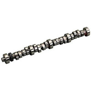 Lunati LT51028 Lunati Camshaft Cam - Blue Racer 5.0 Duplicate