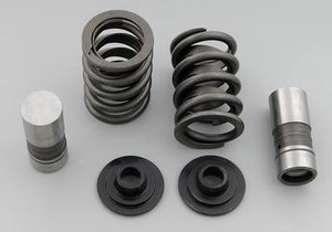 Lunati LT65001LUN Valve Train Kit BB Chev Lifters V/Springs Rtners Loks