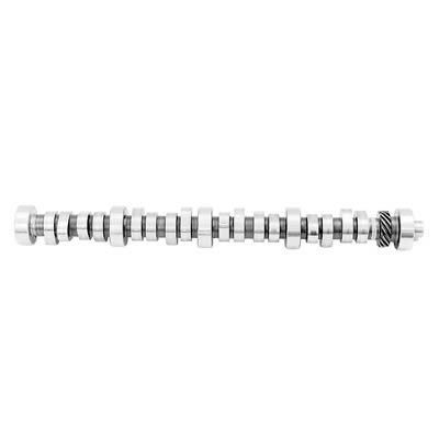 Ford Racing FMM-6250-E303 Ford Fmm-6250-E303 302W 5.0L Hydraulic Roller Cam 282/282 .498/.498 110