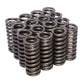 Comp Cams CC912-16 Comp Valve Springs Honda D16