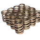 Comp Cams CC913-SET Comp Valve Spring Set Acura B1