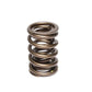 Comp Cams CC914-1 Comp Valve Spring 1470 2 Sprin