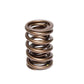 Comp Cams CC914-1 Comp Valve Spring 1470 2 Sprin