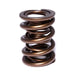 Comp Cams CC916-1 Comp Valve Spring 1560 2 Sprin