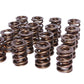 Comp Cams CC919-16 Comp Valve Springs 1550 2 Spri