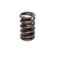 Comp Cams CC924-1 Comp Valve Spring for 920-974