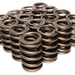 Dual Valve Spring Set, 347 Spring Rate (1.509" OD, 112@1.900" Seat Pressure, 1.175" Coil Bind) (CO924-16)