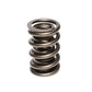 Comp Cams CC927-1 Comp Valve Spring Nascar