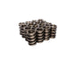 Comp Cams CC932-16 Comp Valve Springs 1560 Nascar