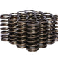 Comp Cams CC937-16 Comp Valve Spring 1025 Inner