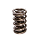 Comp Cams CC939-1 Comp Valve Spring for 936-975