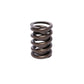 Comp Cams CC940-1 Comp Valve Spring 1450 Outer W