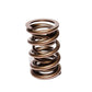 Comp Cams CC943-1 Comp Valve Spring 1550 Inter-F