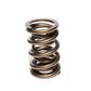 Comp Cams CC943-1 Comp Valve Spring 1550 Inter-F
