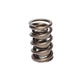 Comp Cams CC950-1 Comp Valve Spring 2 Spring Ass