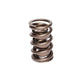 Comp Cams CC950-1 Comp Valve Spring 2 Spring Ass