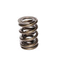 Comp Cams CC951-1 Comp Valve Spring 1630 Inter-F