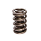 Comp Cams CC954-1 Comp Valve Spring 1540 2 Sprin