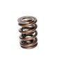 Comp Cams CC959-1 Comp Valve Spring 1650 2 Sprin