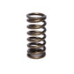 Comp Cams CC973-1 Comp Valve Spring 0970 Inner