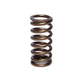Comp Cams CC973-1 Comp Valve Spring 0970 Inner
