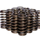 Comp Cams CC975-16 Comp Valve Springs 0960 Inner