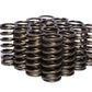 Comp Cams CC975-16 Comp Valve Springs 0960 Inner