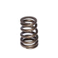 Comp Cams CC982-1 Comp Valve Spring 1250 /1460 C