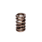 Comp Cams CC983-1 Comp Valve Spring 1250 Ovate W