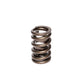 Comp Cams CC983-1 Comp Valve Spring 1250 Ovate W